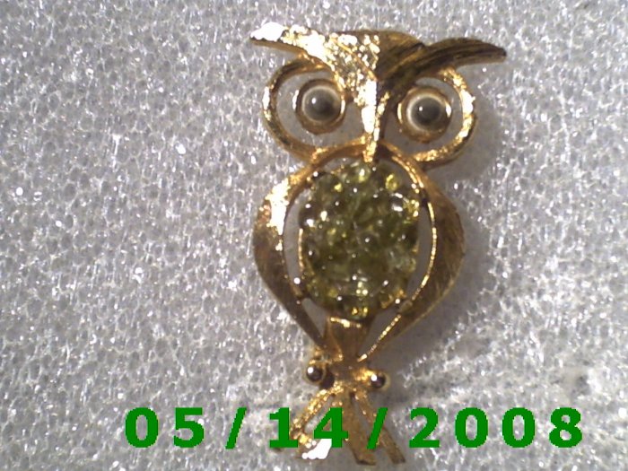 Gold Owl Pin B029