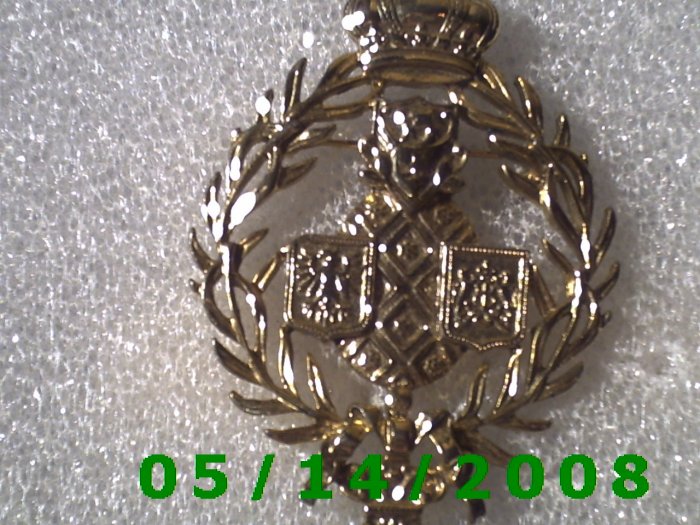 Gold Brooche B027