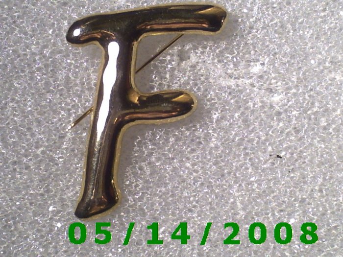 Gold Letter F Pin B013