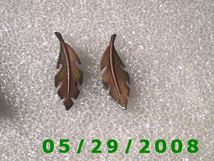 Feathers Clip On Earrings D038