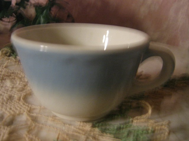 Mayer China ~ Blue Buffalo China Coffee Cup ~