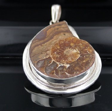 SALE!! - Genuine Himalayan Ammonite Fossil Necklace
