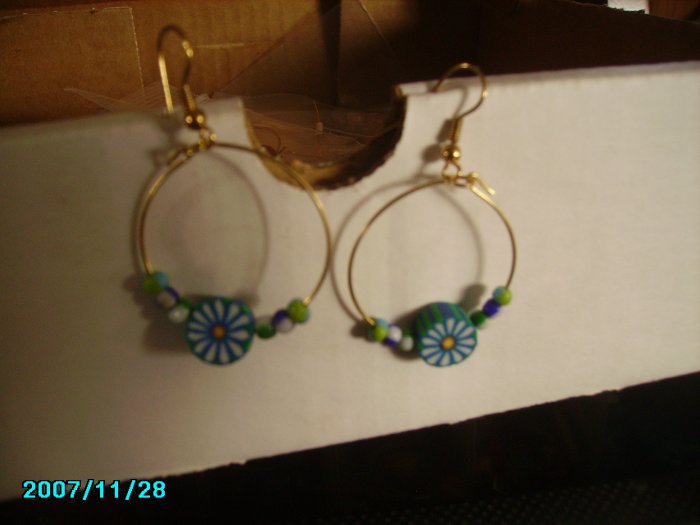 Blue and White Flowered Hoops