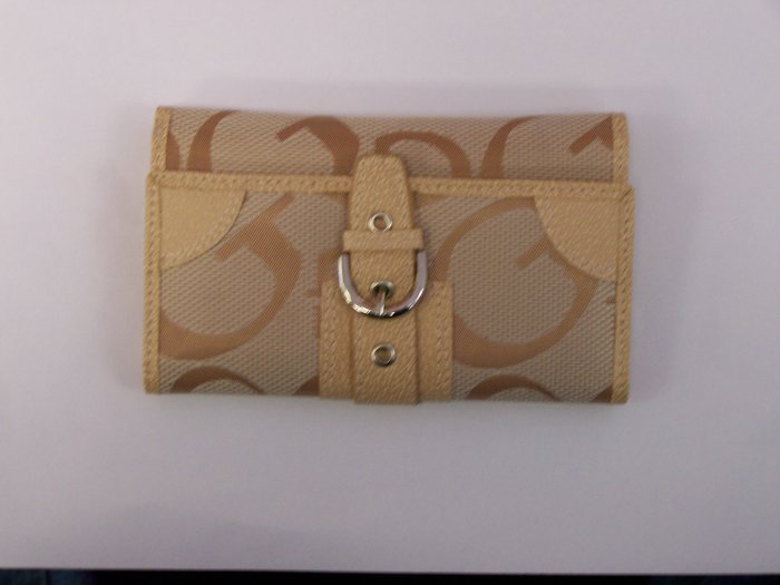 purse#8