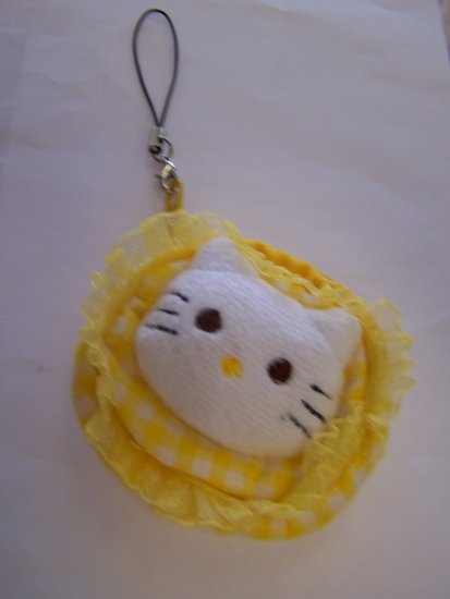 hello kitty(8)