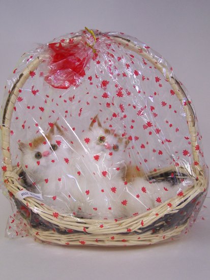 kitty basket(1)