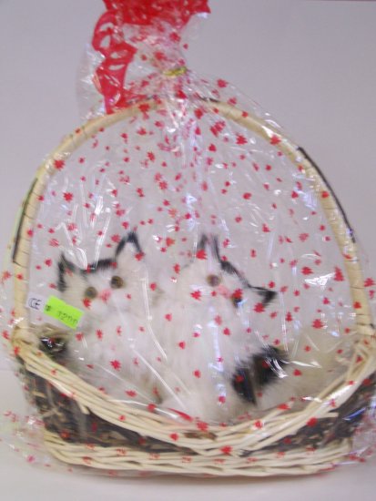 kitty basket(2)