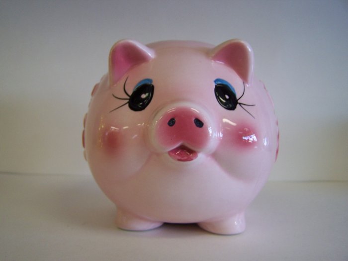 pink pig coin bank