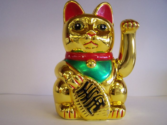 golden kitty