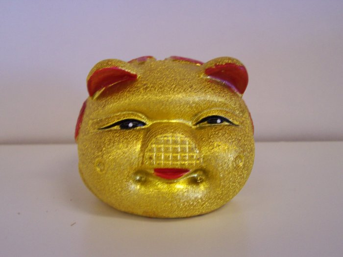 mini golden pig