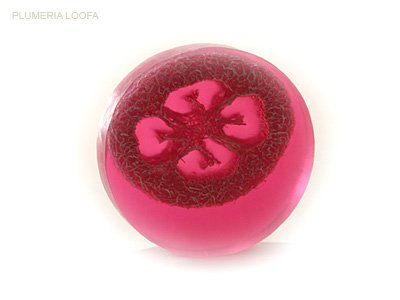 Plumeria Loofa Soap