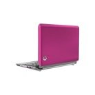 HP Mini 10.1" Netbook