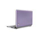 HP Mini 10.1" Netbook