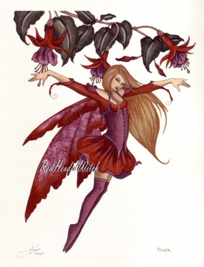 NEW AMY BROWN Print FUSHIA Fuchsia FLOWER Faery Fairy