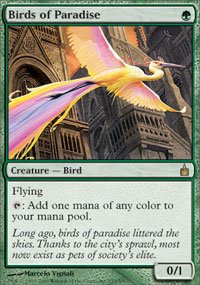Magic the Gathering Card - Birds of Paradise (Ravnica)