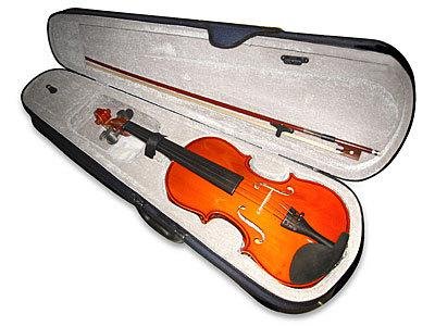 Violin