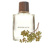 Domain