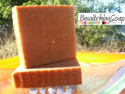 Honey Cinnamon--Cold Process Handmade Soap w/ Shea Butter FREE SHIPPING
