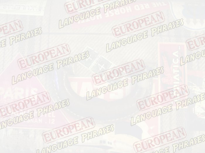 European Mini eBook ITALIAN language phrases digital