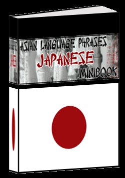 Asian Mini eBook JAPANESE language phrases digital