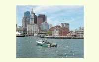 Fishing in Boston Harbor