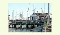Harbormaster Seaside Shack