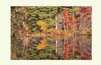 colorful foliage reflections on notecards