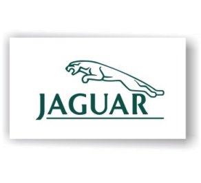 Jaguar Show Room Flag
