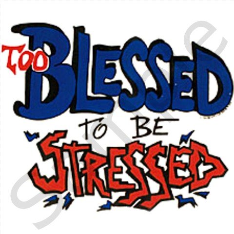 Too Blessed to be Stressed BBQ Kitchen Apron with Pockets - 13306257