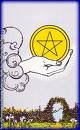 Tarot Consultation w/ Rev M Alicea