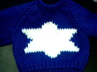 Handmade Build A Bear Cub Sweater Jewish Star of David