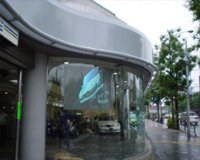 ParaHologram screen 50 inch - 4 3
