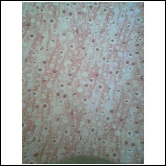Ring Sling...Pink Wheat