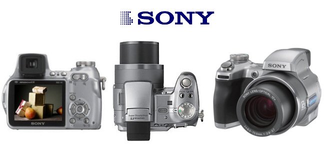 Sony Cybershot DSC-H1 - 5.1 Megapixel Digital Camera with 12x Optical Zoom