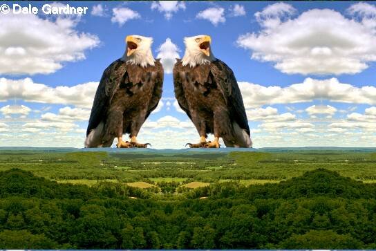 Two Bald Eagles on the Mountain Item 003, 20 x 30 Print