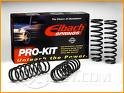 Eibach, Sport Springs