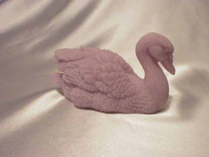 Swan