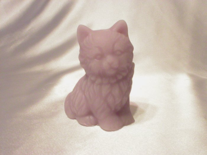 Persian Kitten