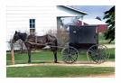 Amish Recipes Ebook