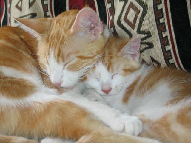 Mother and Son