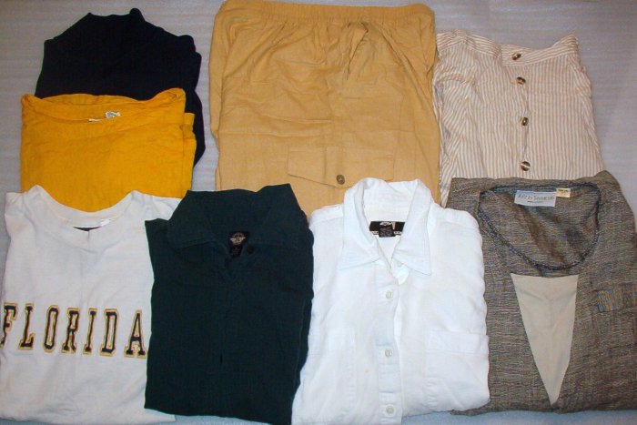 Mixed Lot Ladies Size Medium 8 Pc Clothing Shirts, Pants, Skirt Dockers, Rue 21, Plus More