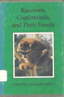 Raccoons Coatimundis and Their Family - Dorothy Patent 0823403602
