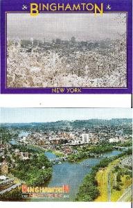 Two Binghamton N Y Aerial View Postcards Summer and Winter Seasons Unused