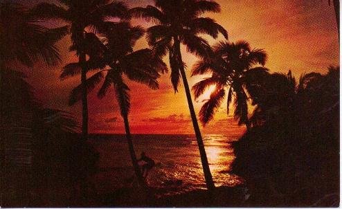 Hawaiian Sunset Postcard by Mike Roberts in Color 1960s Vintage Unused