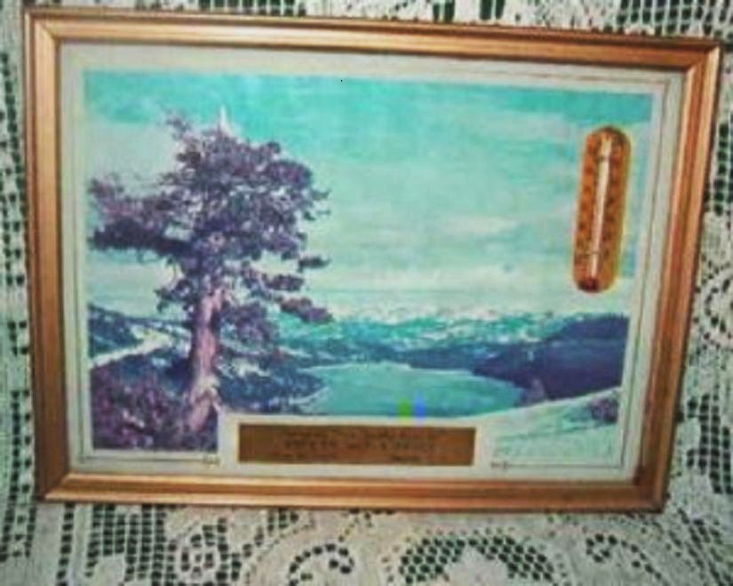 Vintage Thermometer with Picturesque View of the Adirondacks w Local Advertisement