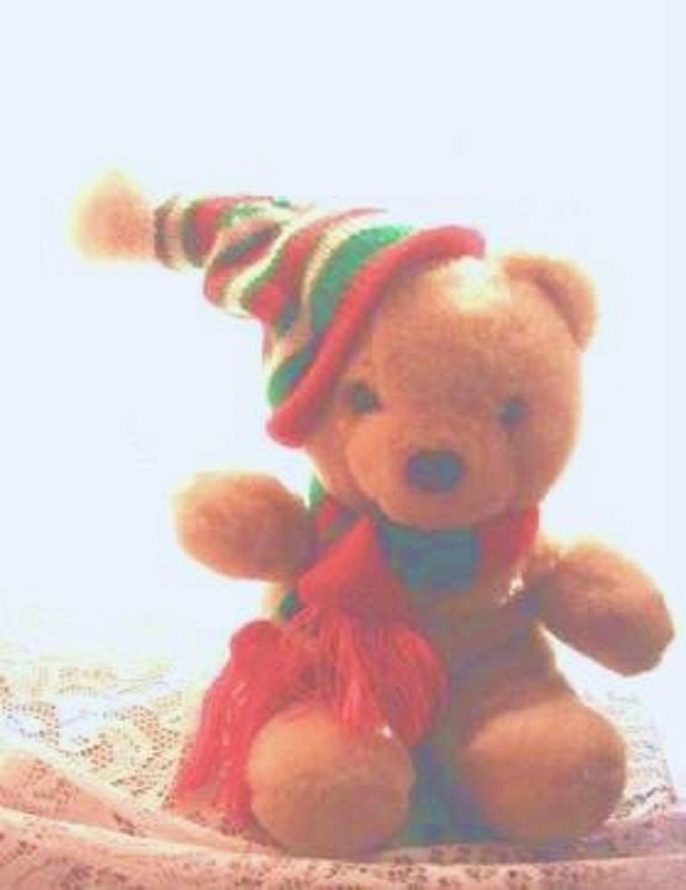 Cuddle Wit Christmas Bear 1980s Plush - Rare