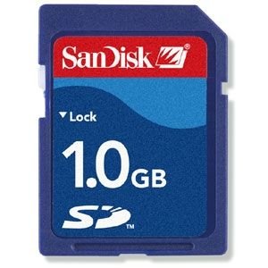 SanDisk - 1GB Secure Digital Memory Card for Nintendo Wii