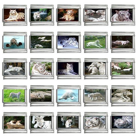 Italian Charms 25 pack 9mm White Tiger 13452662