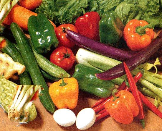 A Guide to Home Vegetable Gardening