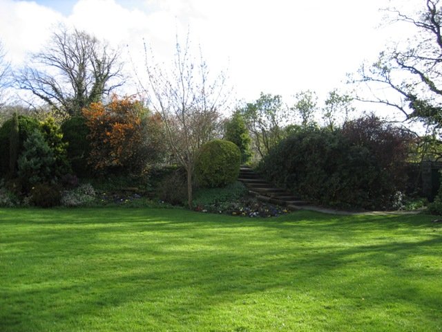 Create The Perfect Lawn